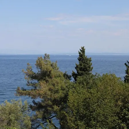 Double Medveja 7775c 3*