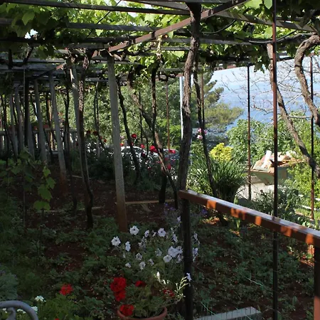 Affittacamere Double Medveja 7775c Laurana