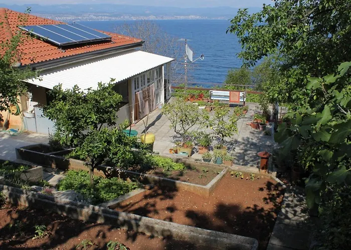 Double Medveja 7775c 3*